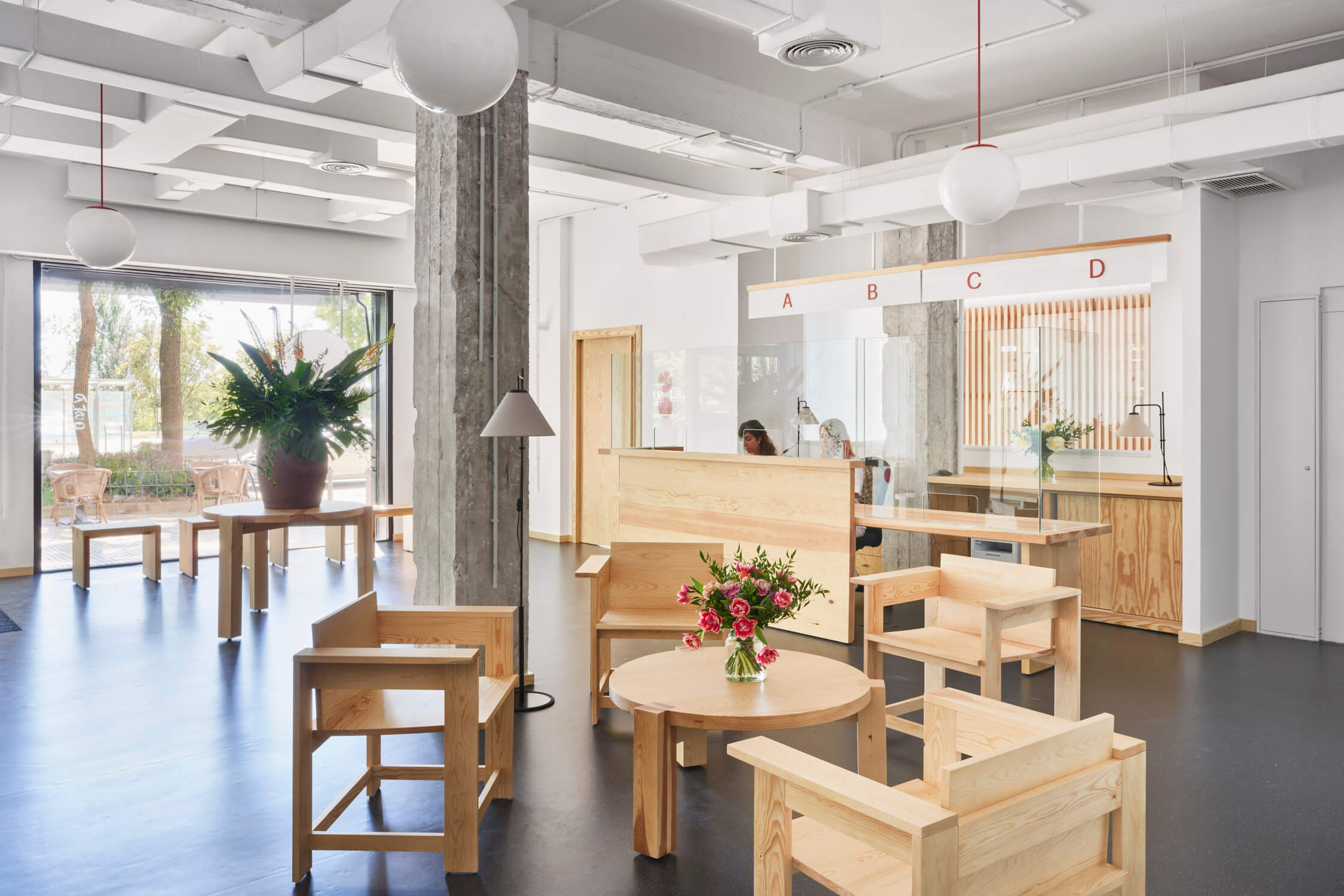 analiza pintor rosales