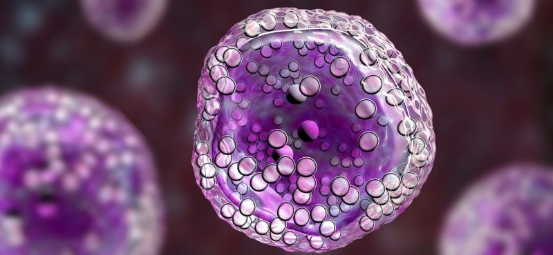 Vista al microscopio de células en representación de oncología molecular y marcadores tumorales